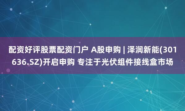 配资好评股票配资门户 A股申购 | 泽润新能(301636.SZ)开启申购 专注于光伏组件接线盒市场