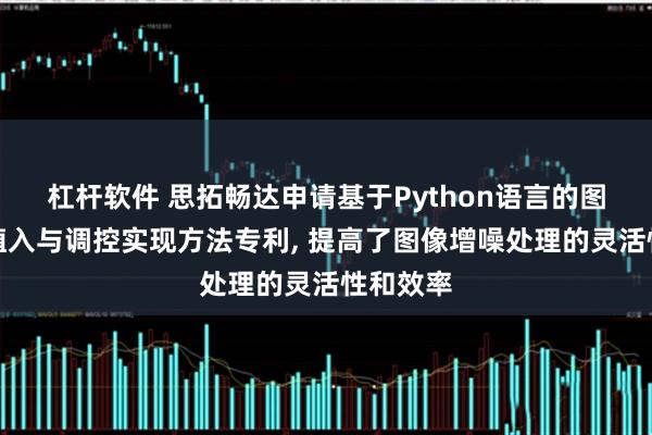 杠杆软件 思拓畅达申请基于Python语言的图像增噪植入与调控实现方法专利, 提高了图像增噪处理的灵活性和效率