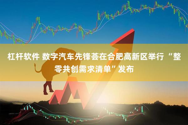 杠杆软件 数字汽车先锋荟在合肥高新区举行 “整零共创需求清单”发布