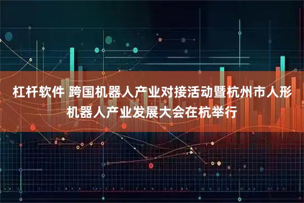 杠杆软件 跨国机器人产业对接活动暨杭州市人形机器人产业发展大会在杭举行