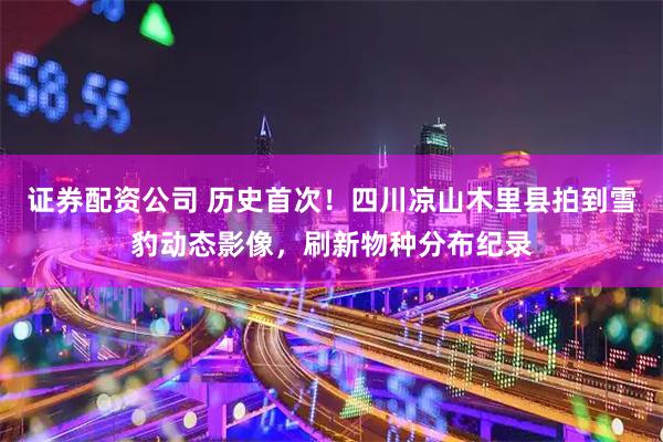 证券配资公司 历史首次！四川凉山木里县拍到雪豹动态影像，刷新物种分布纪录